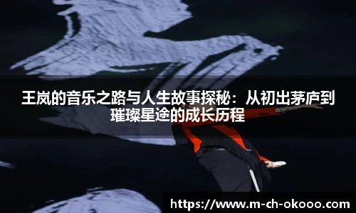 王岚的音乐之路与人生故事探秘：从初出茅庐到璀璨星途的成长历程